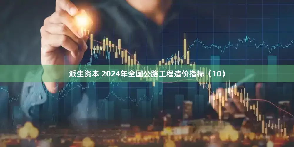 派生资本 2024年全国公路工程造价指标(10)