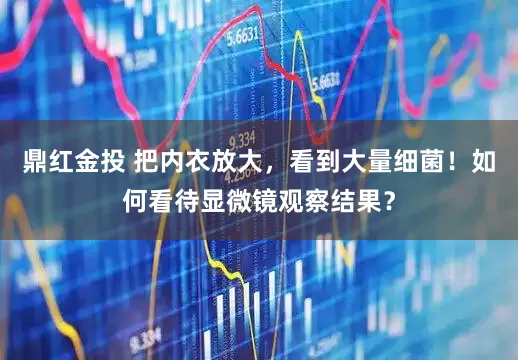 鼎红金投 把内衣放大，看到大量细菌！如何看待显微镜观察结果？