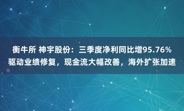 衡牛所 神宇股份:三季度净利同比增95.76%驱动业绩修复,现金流大幅改善,海外扩张加速